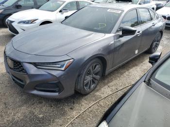  Salvage Acura TLX