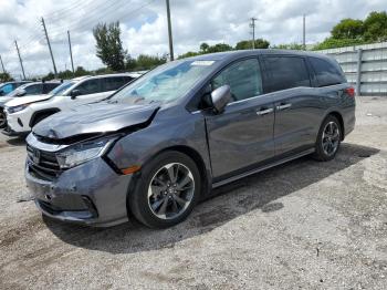  Salvage Honda Odyssey