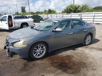  Salvage Nissan Maxima