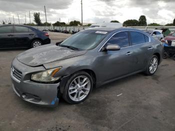  Salvage Nissan Maxima