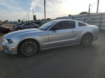  Salvage Ford Mustang