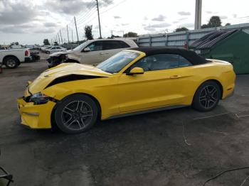  Salvage Ford Mustang