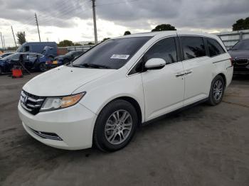  Salvage Honda Odyssey