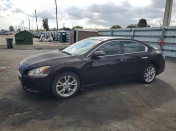  Salvage Nissan Maxima