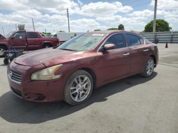  Salvage Nissan Maxima
