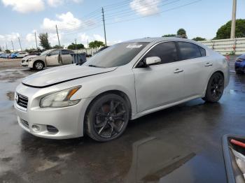  Salvage Nissan Maxima
