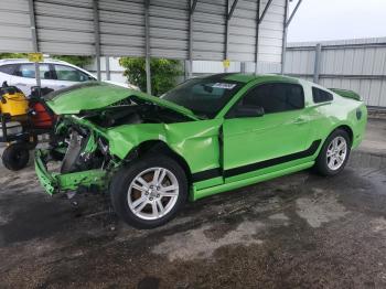  Salvage Ford Mustang