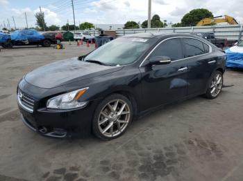  Salvage Nissan Maxima