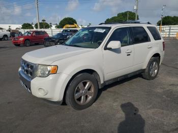  Salvage Ford Escape