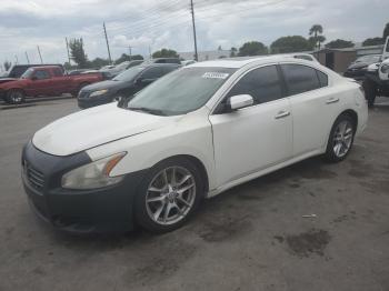 Salvage Nissan Maxima