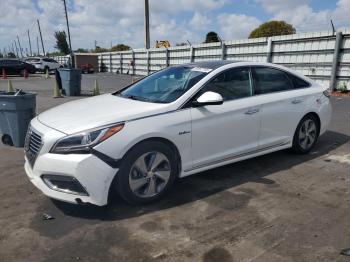  Salvage Hyundai SONATA