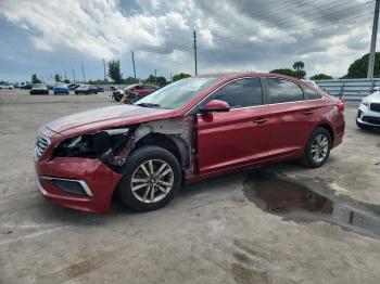  Salvage Hyundai SONATA