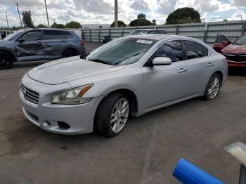  Salvage Nissan Maxima