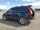 Honda Crv Lx Image 8
