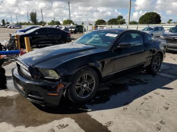  Salvage Ford Mustang