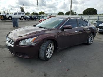  Salvage Nissan Maxima