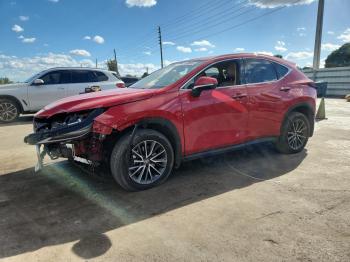  Salvage Lexus NX