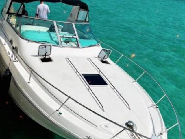 Sea Ray Sea Ray 33 Image 11