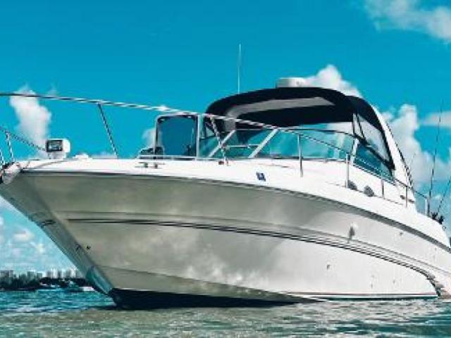 Sea Ray Sea Ray 33 Image 10