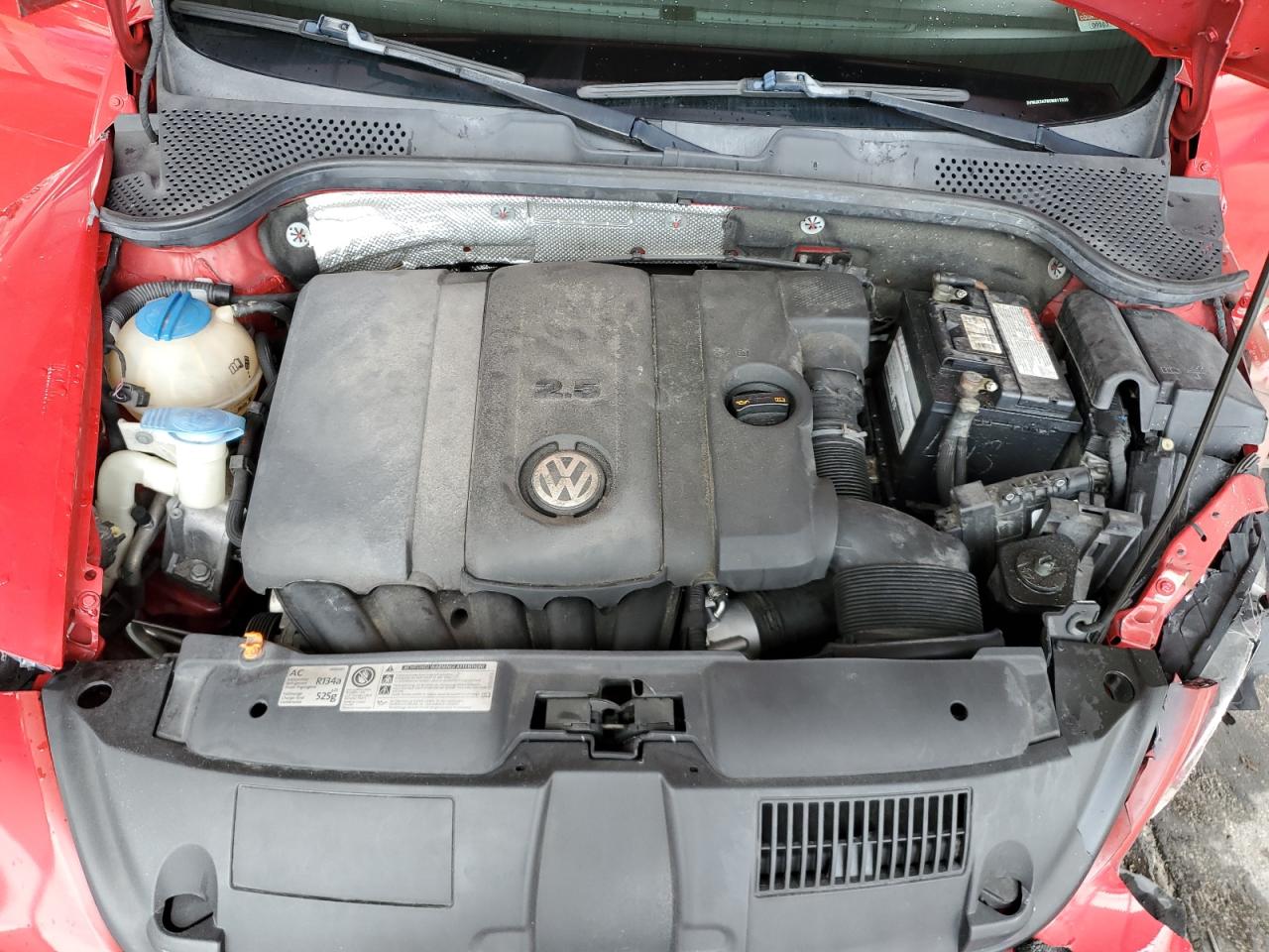 Volkswagen Beetle Image 9