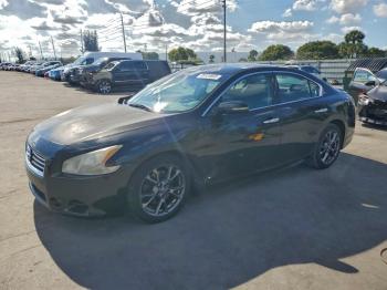  Salvage Nissan Maxima