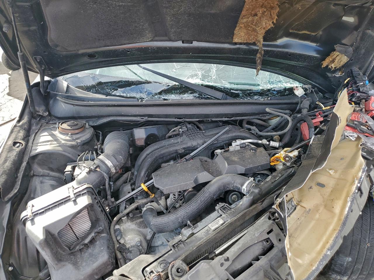 Subaru Outback 2.5i Premium Image 12