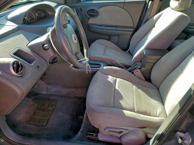 Saturn Ion Level 2 Image 12